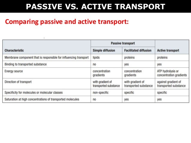 venn diagram of active vs passive transport 10 venn diagram passive transport and active transport venn diagram