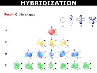 Recall: Orbital shapes
S
P
D
F
HYBRIDIZATION
 