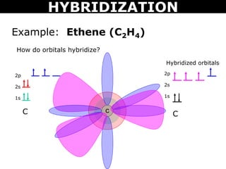 Example: Ethene (C2H4)
How do orbitals hybridize?
CC
2p
2s
1s
C
2p
2s
1s
Hybridized orbitals
HYBRIDIZATION
 