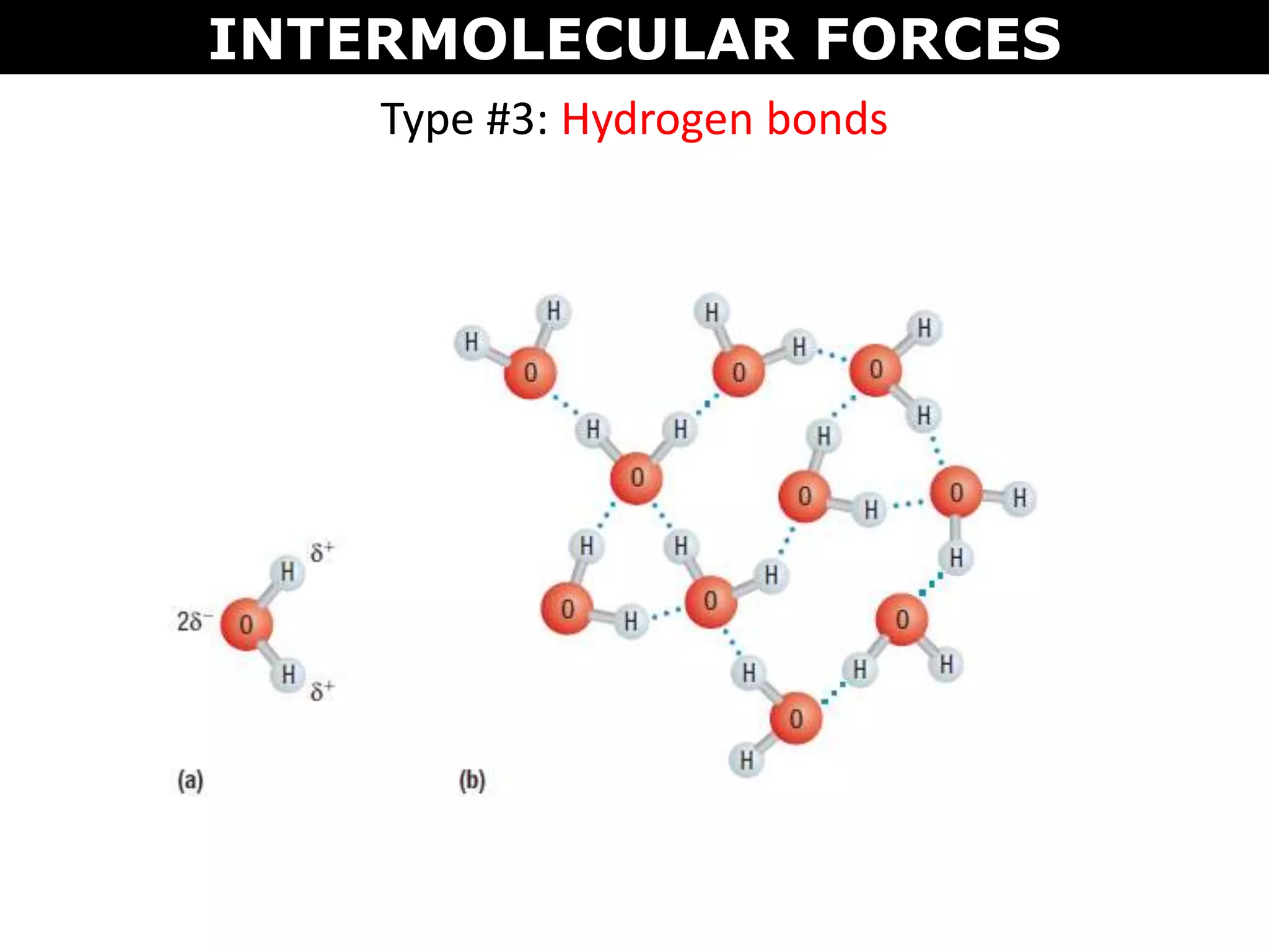 Type #3: Hydrogen bonds
INTERMOLECULAR FORCES
 