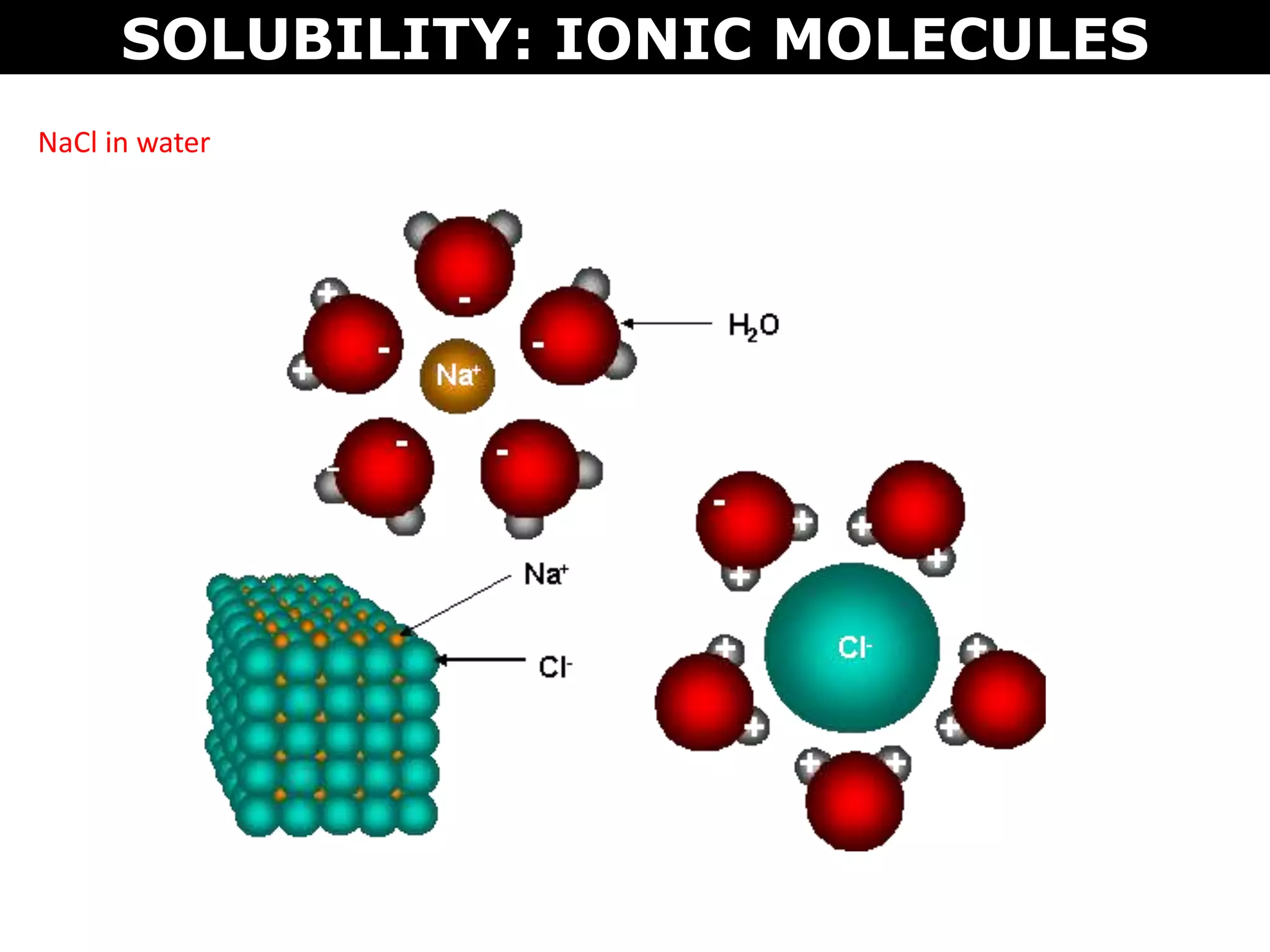 SOLUBILITY: IONIC MOLECULES
NaCl in water
 