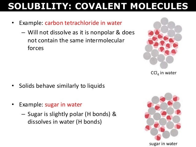 Tang 09 intermolecular forces and solubility