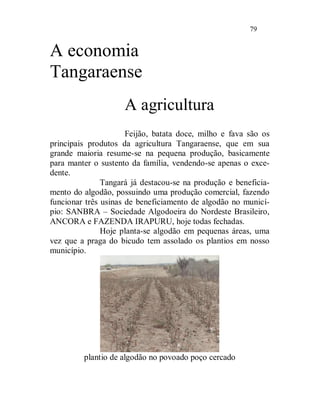79


A economia
Tangaraense
                     A agricultura
                      Feijão, batata doce, milho e fava são os
principais produtos da agricultura Tangaraense, que em sua
grande maioria resume-se na pequena produção, basicamente
para manter o sustento da família, vendendo-se apenas o exce-
dente.
               Tangará já destacou-se na produção e beneficia-
mento do algodão, possuindo uma produção comercial, fazendo
funcionar três usinas de beneficiamento de algodão no municí-
pio: SANBRA – Sociedade Algodoeira do Nordeste Brasileiro,
ANCORA e FAZENDA IRAPURU, hoje todas fechadas.
               Hoje planta-se algodão em pequenas áreas, uma
vez que a praga do bicudo tem assolado os plantios em nosso
município.




         plantio de algodão no povoado poço cercado
 