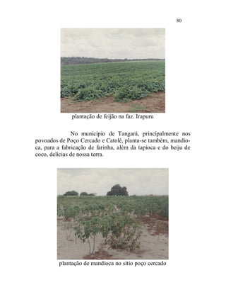 80




              plantação de feijão na faz. Irapuru

               No município de Tangará, principalmente nos
povoados de Poço Cercado e Catolé, planta-se também, mandio-
ca, para a fabricação de farinha, além da tapioca e do beiju de
coco, delícias de nossa terra.




         plantação de mandioca no sítio poço cercado
 