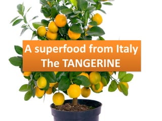A superfood from Italy
The TANGERINE
 