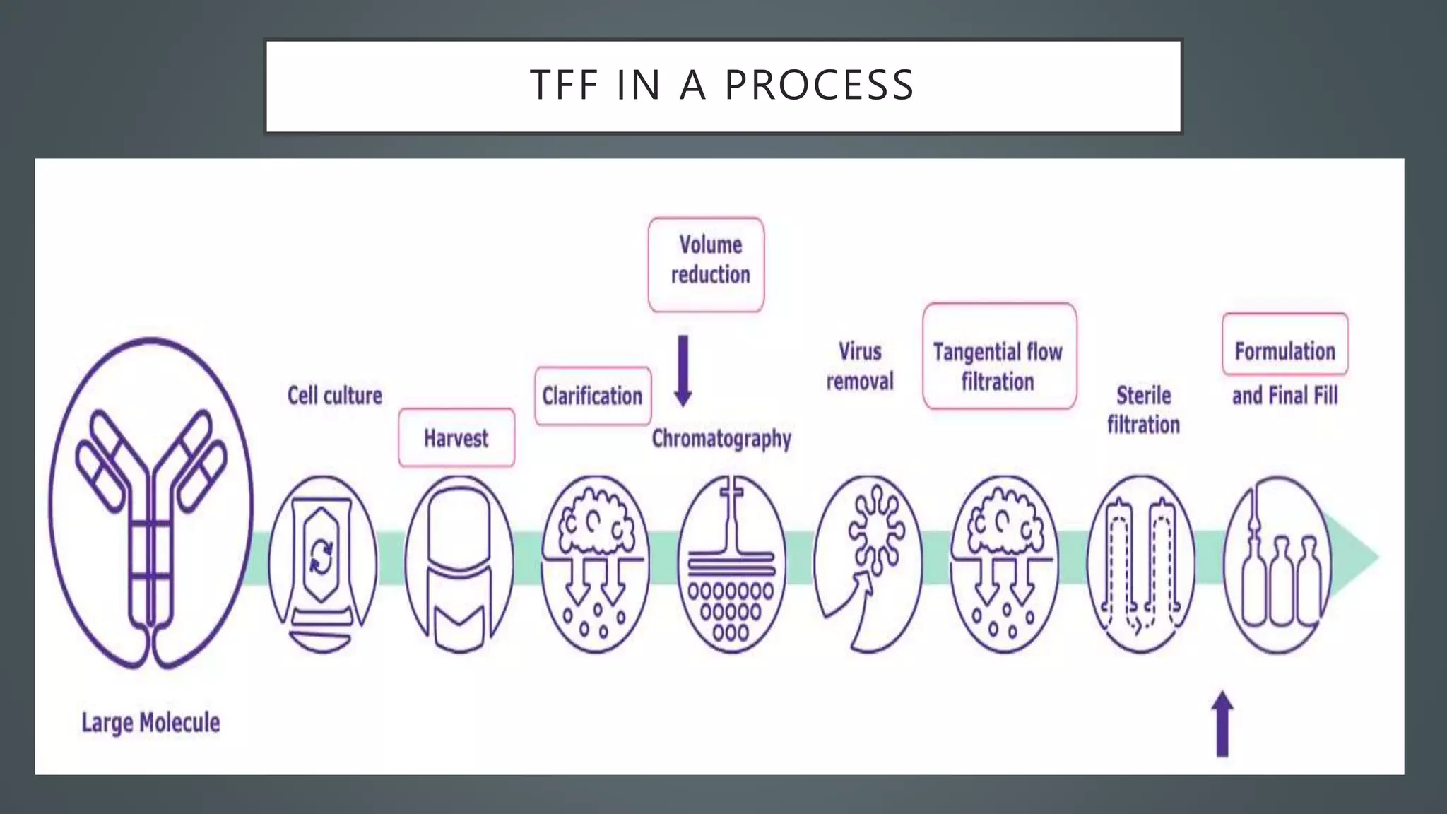 Tangential Flow Filtration - PPT.pptx