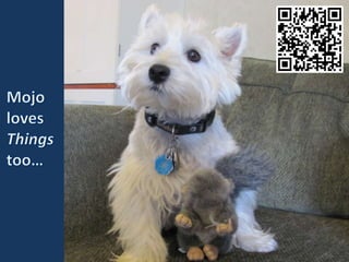 socialnetworkingfortoddlers