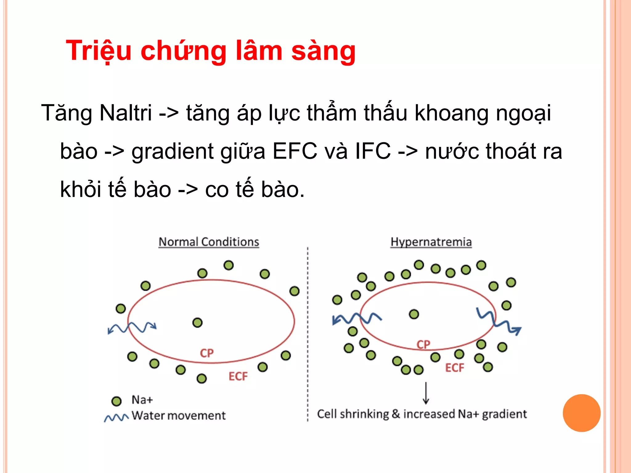 Tăng Naltri -> tăng áp lực thẩm thấu khoang ngoại
bào -> gradient giữa EFC và IFC -> nước thoát ra
khỏi tế bào -> co tế bào.
Triệu chứng lâm sàng
 