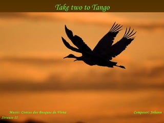 Take two to Tango Music:  Contos dos  B osques de Viena     Composer:  Johann Straus s II   