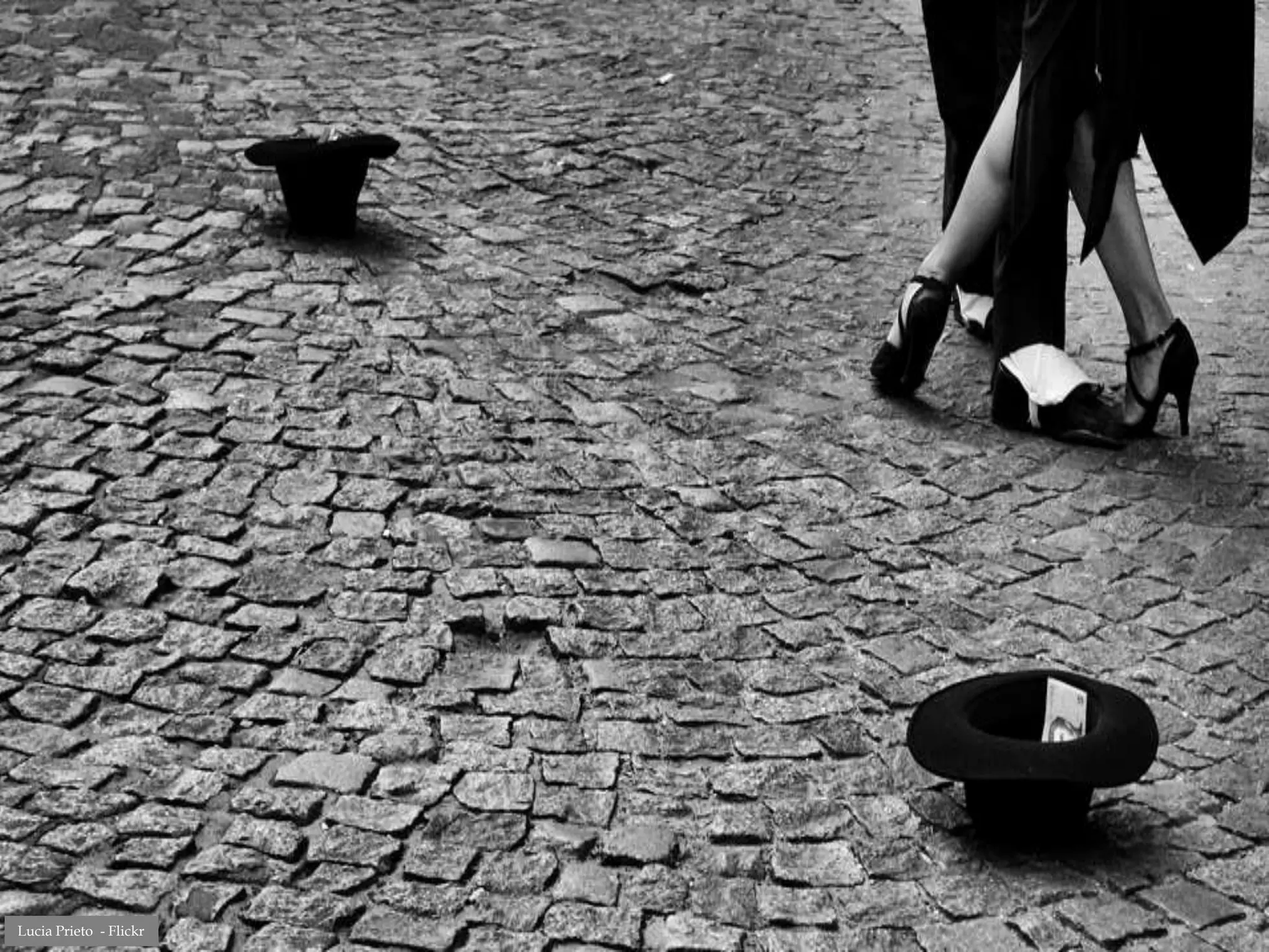 Lucia Prieto - Flickr
 