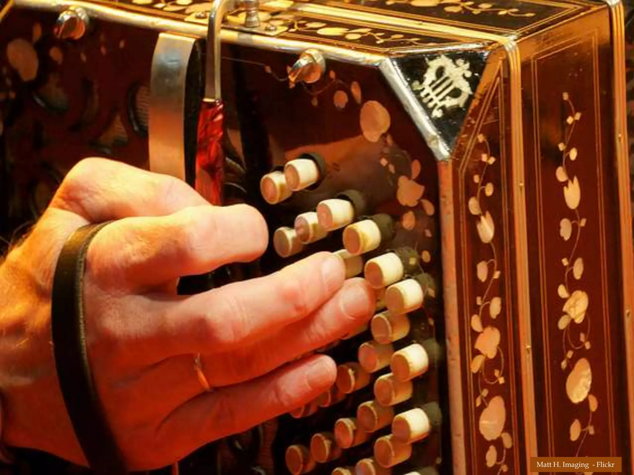 Matt H. Imaging - Flickr
 