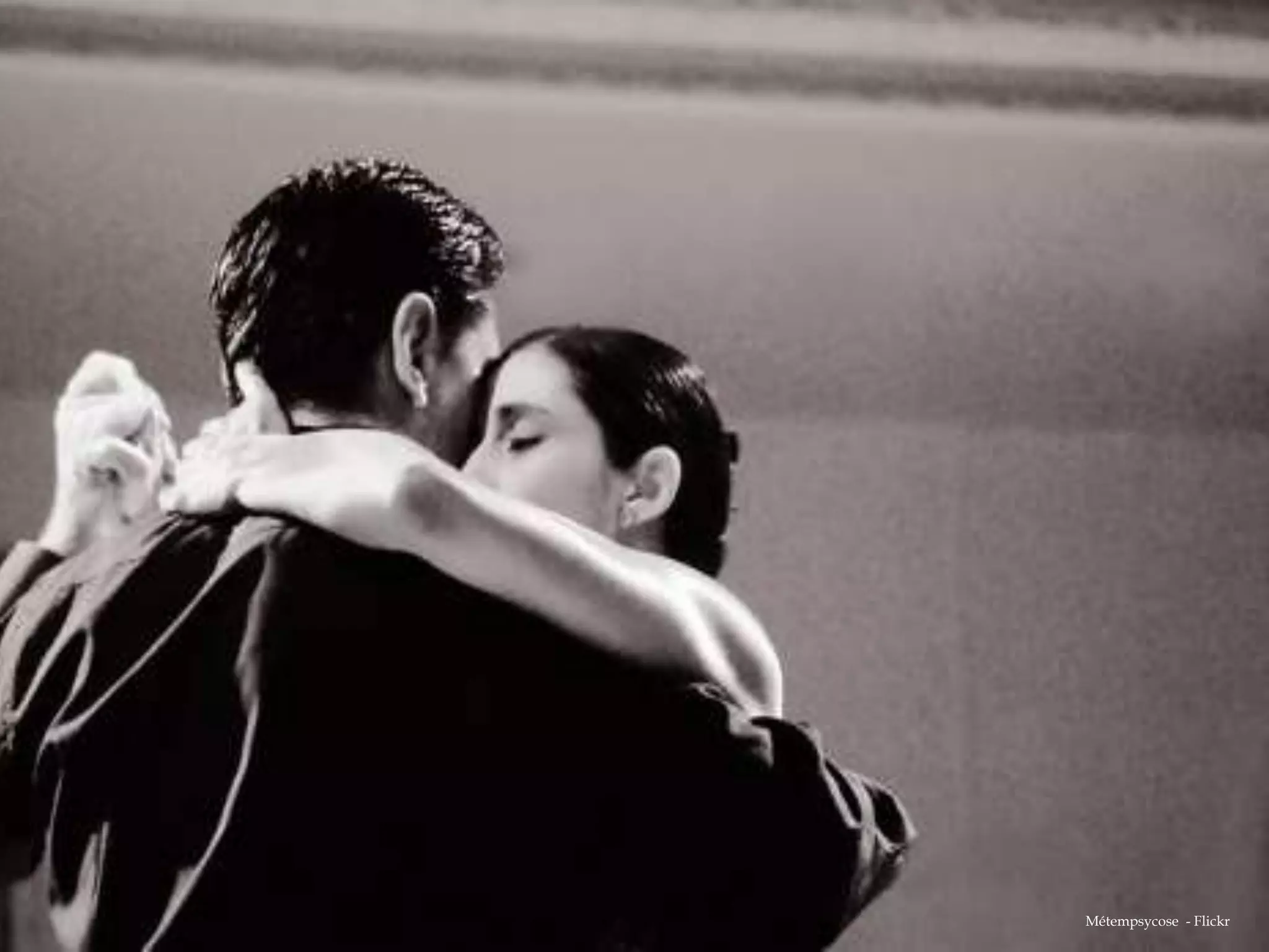 Métempsycose - Flickr
 