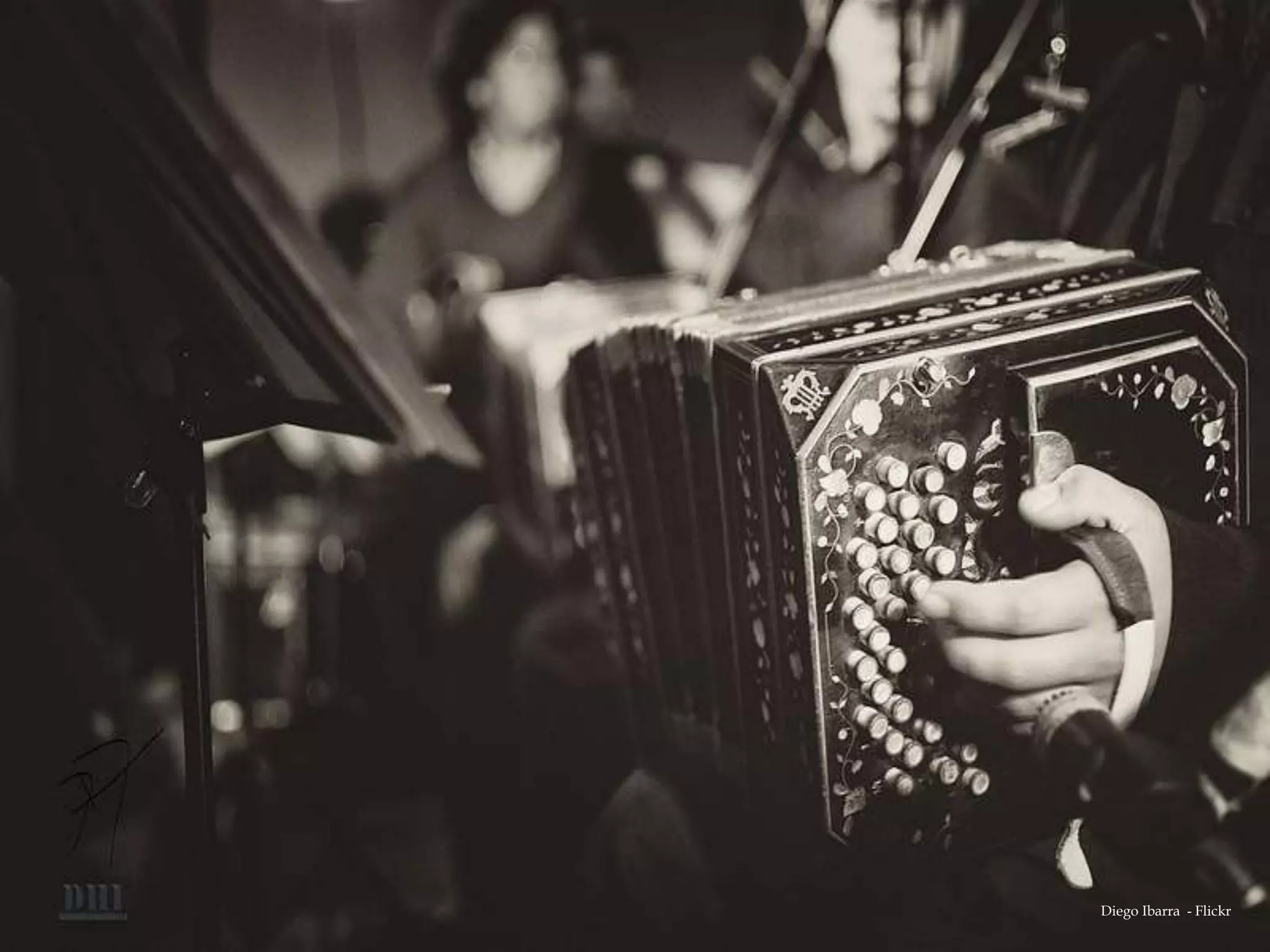 Diego Ibarra - Flickr
 