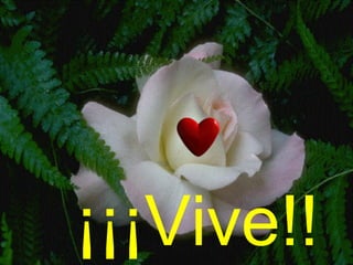 ¡¡¡Vive!!
 