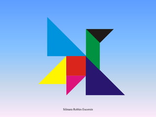 Silmara Robles Escorsin