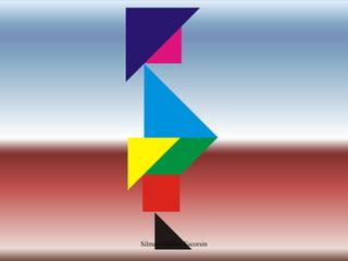 Silmara Robles Escorsin