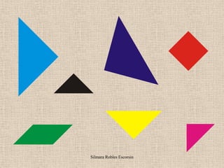 Silmara Robles Escorsin