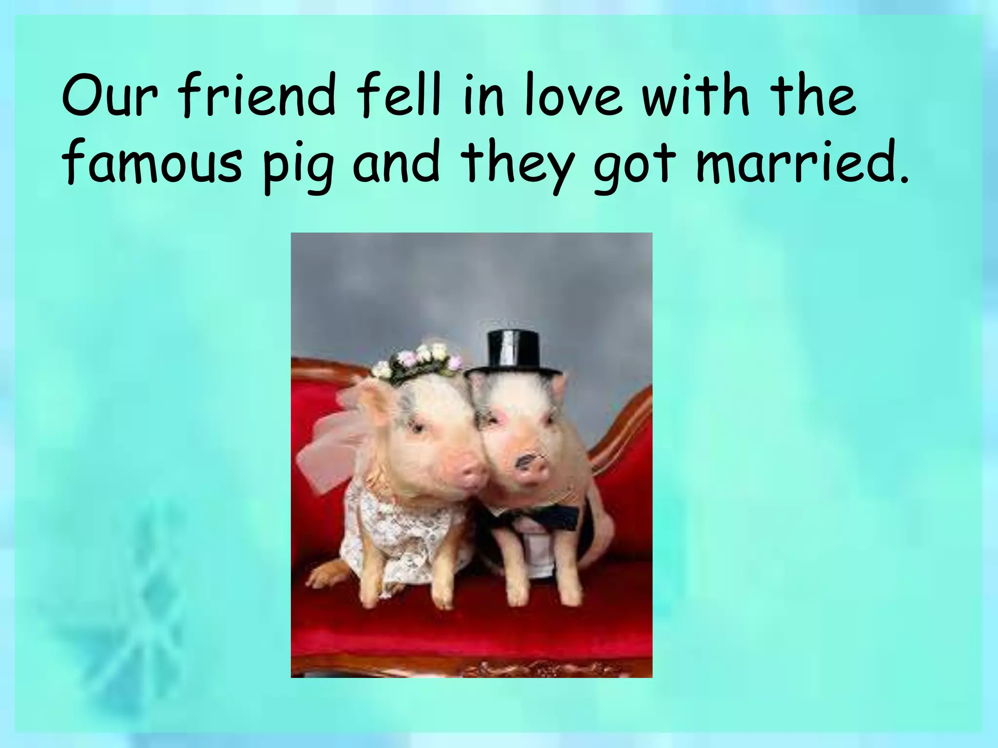 Our friend fell in love with the 
famous pig and they got married. 
 