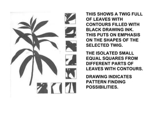 THIS SHOWS A TWIG FULL OF LEAVES WITH CONTOURS FILLED WITH BLACK DRAWING INK. THIS PUTS ON EMPHASIS ON THE SHAPES OF THE SELECTED TWIG.  THE ISOLATED SMALL EQUAL SQUARES FROM DIFFERENT PARTS OF LEAVES WITH CONTOURS. DRAWING INDICATES PATTERN FINDING POSSIBILITIES. 