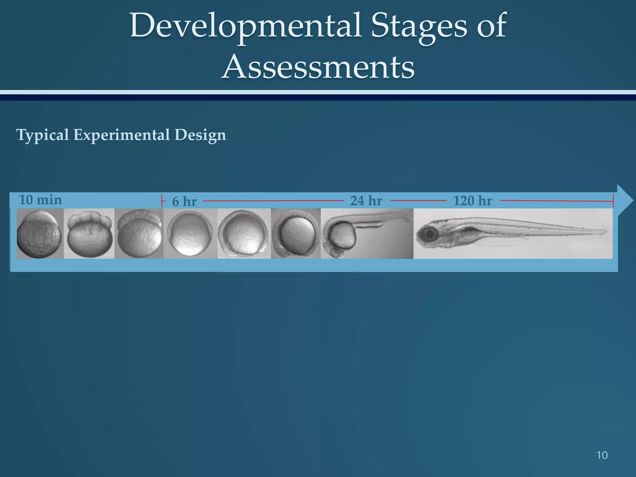 Developmental Stages of
Assessments
10
6 hr 24 hr 120 hr10 min
Typical Experimental Design
 
