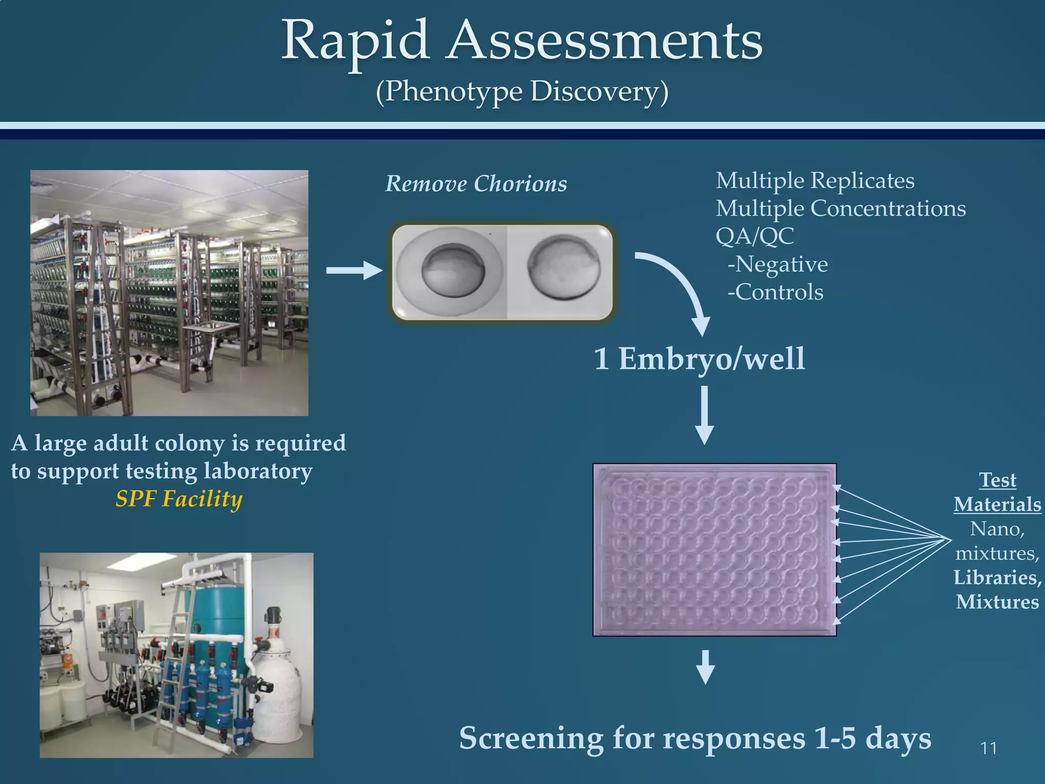 Rapid Assessments
(Phenotype Discovery)
11
Test
Materials
Nano,
mixtures,
Libraries,
Mixtures
Screening for responses 1-5 days
1 Embryo/well
A large adult colony is required
to support testing laboratory
SPF Facility
Remove Chorions Multiple Replicates
Multiple Concentrations
QA/QC
-Negative
-Controls
 