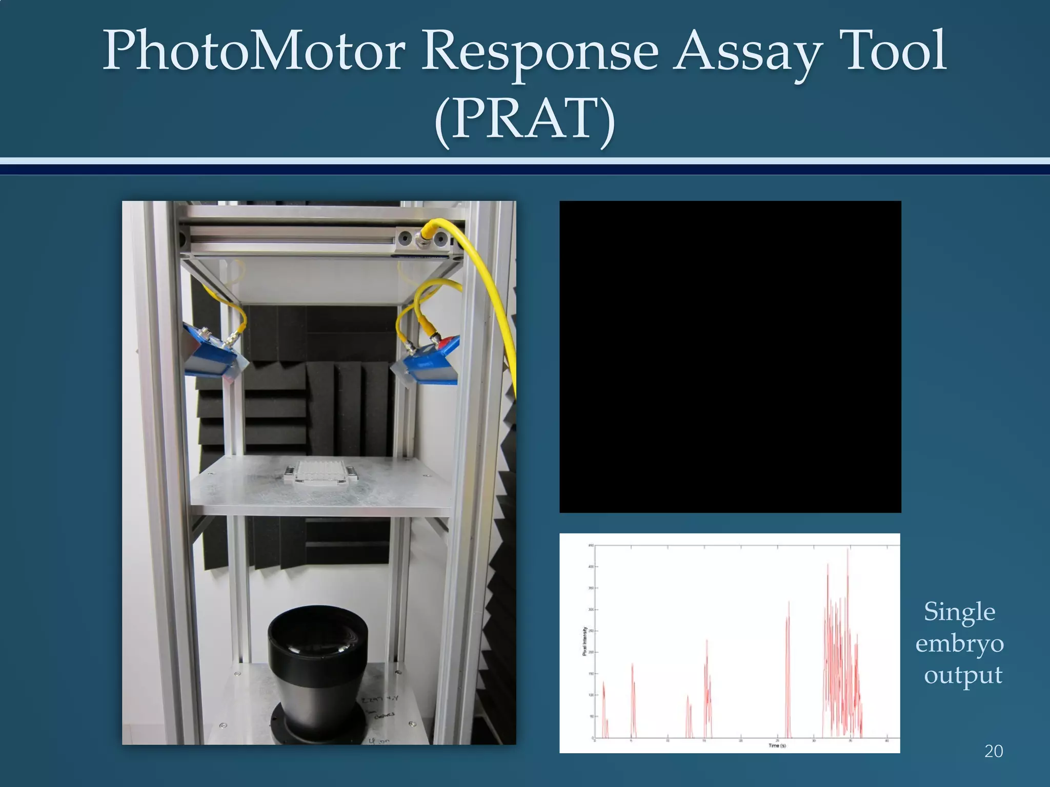 PhotoMotor Response Assay Tool
(PRAT)
20
Single
embryo
output
 