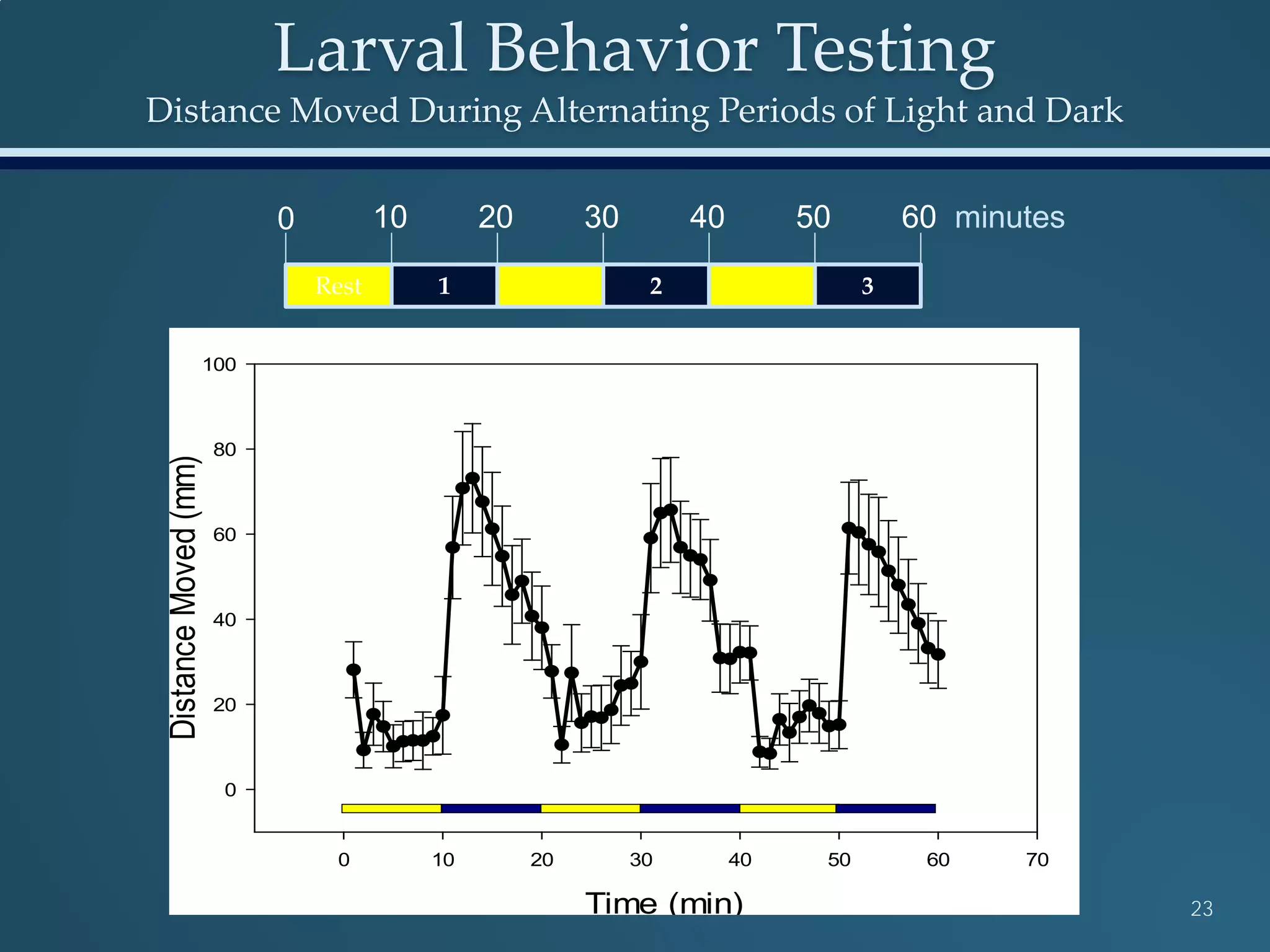 Larval Behavior Testing
Distance Moved During Alternating Periods of Light and Dark
23Time (min)
0 10 20 30 40 50 60 70
DistanceMoved(mm)
0
20
40
60
80
100
Rest 1 2 3
0 2010 30 40 50 60 minutes
 