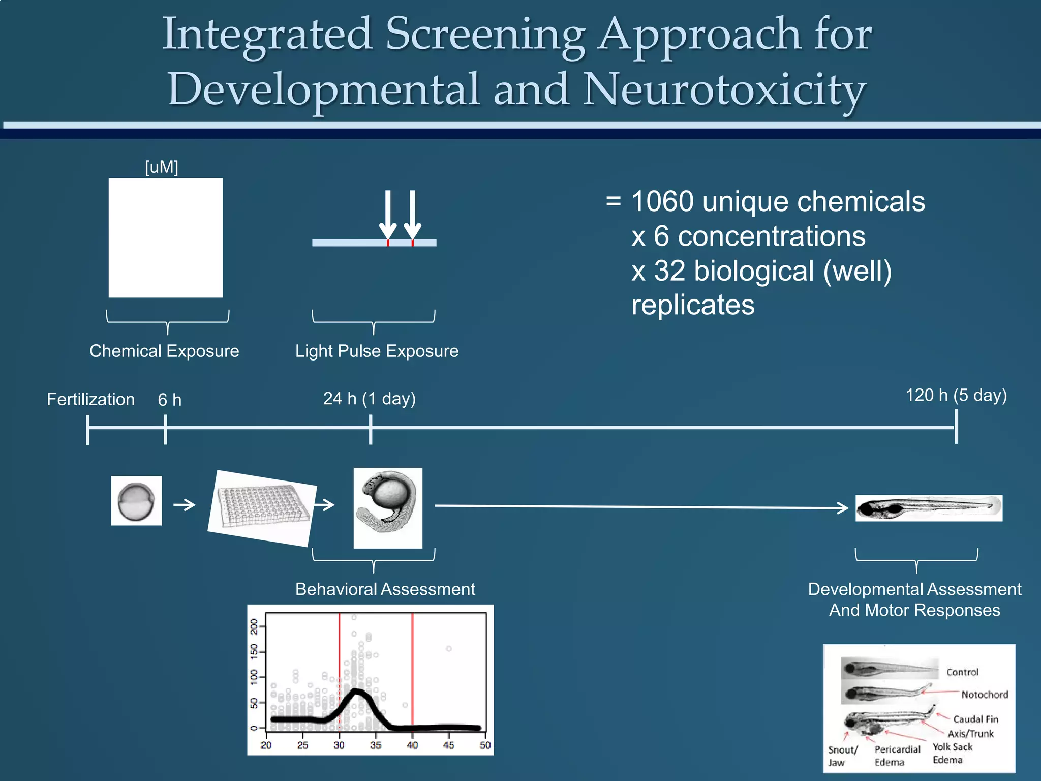 Fertilization 6 h 24 h (1 day)
Chemical Exposure
120 h (5 day)
[uM]
Light Pulse Exposure
Behavioral Assessment Developmental Assessment
And Motor Responses
= 1060 unique chemicals
x 6 concentrations
x 32 biological (well)
replicates
Integrated Screening Approach for
Developmental and Neurotoxicity
 