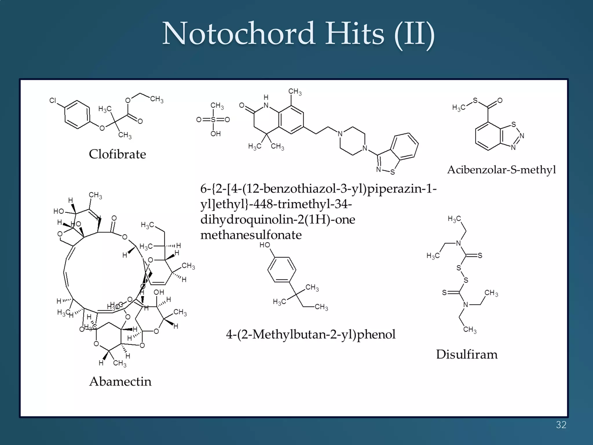 Notochord Hits (II)
32
 