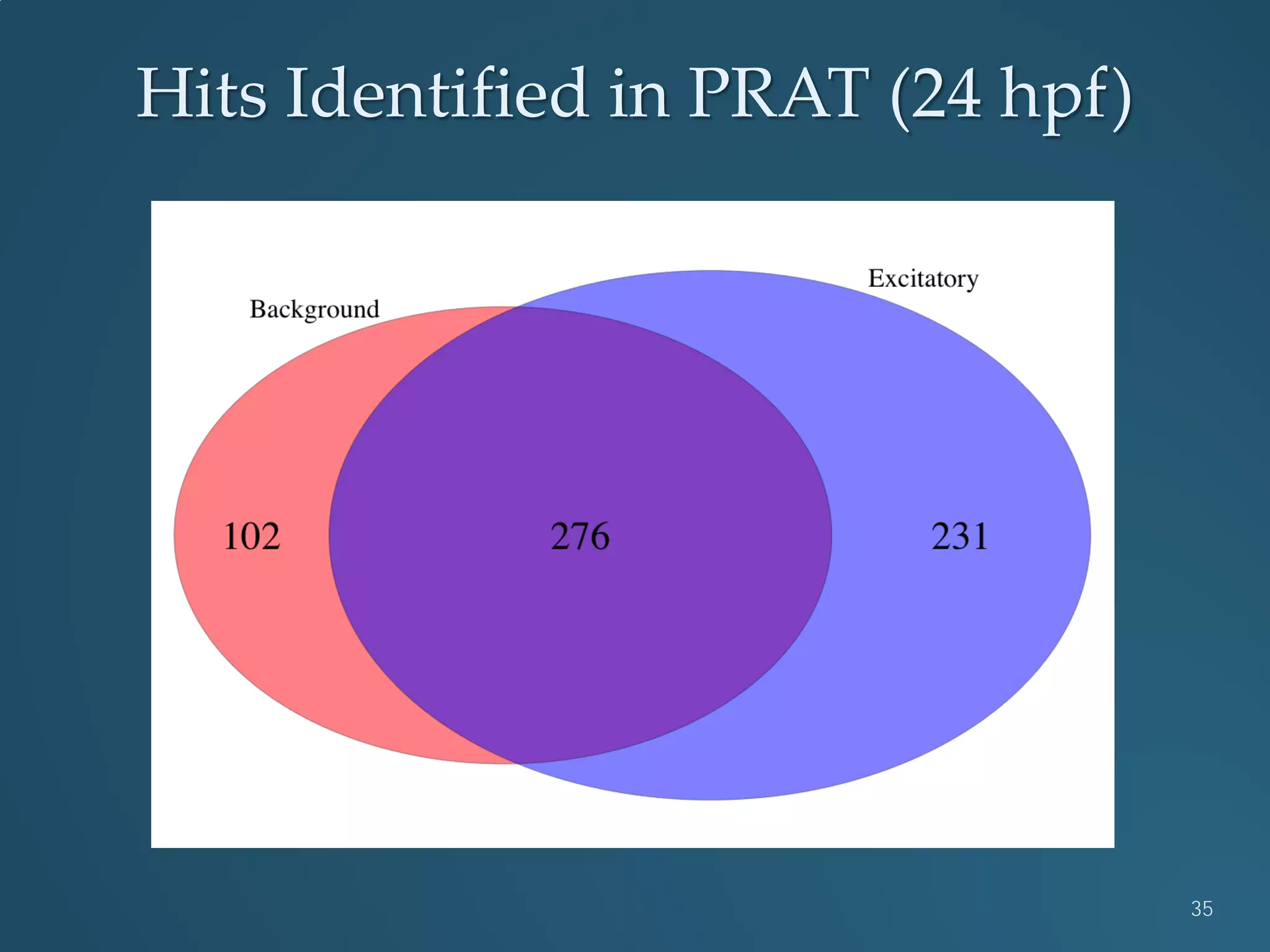 Hits Identified in PRAT (24 hpf)
35
 