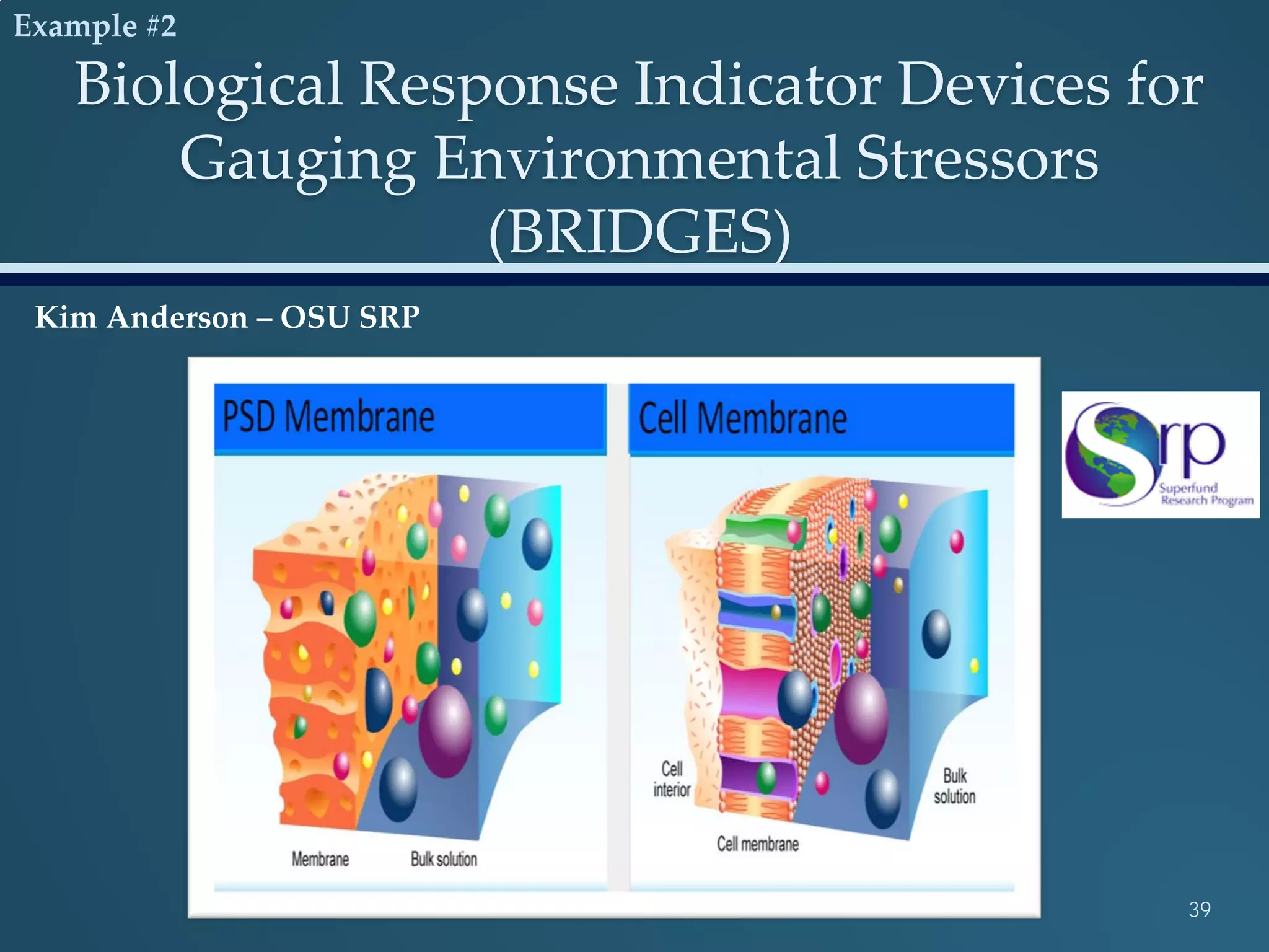 Biological Response Indicator Devices for
Gauging Environmental Stressors
(BRIDGES)
39
Kim Anderson – OSU SRP
Example #2
 