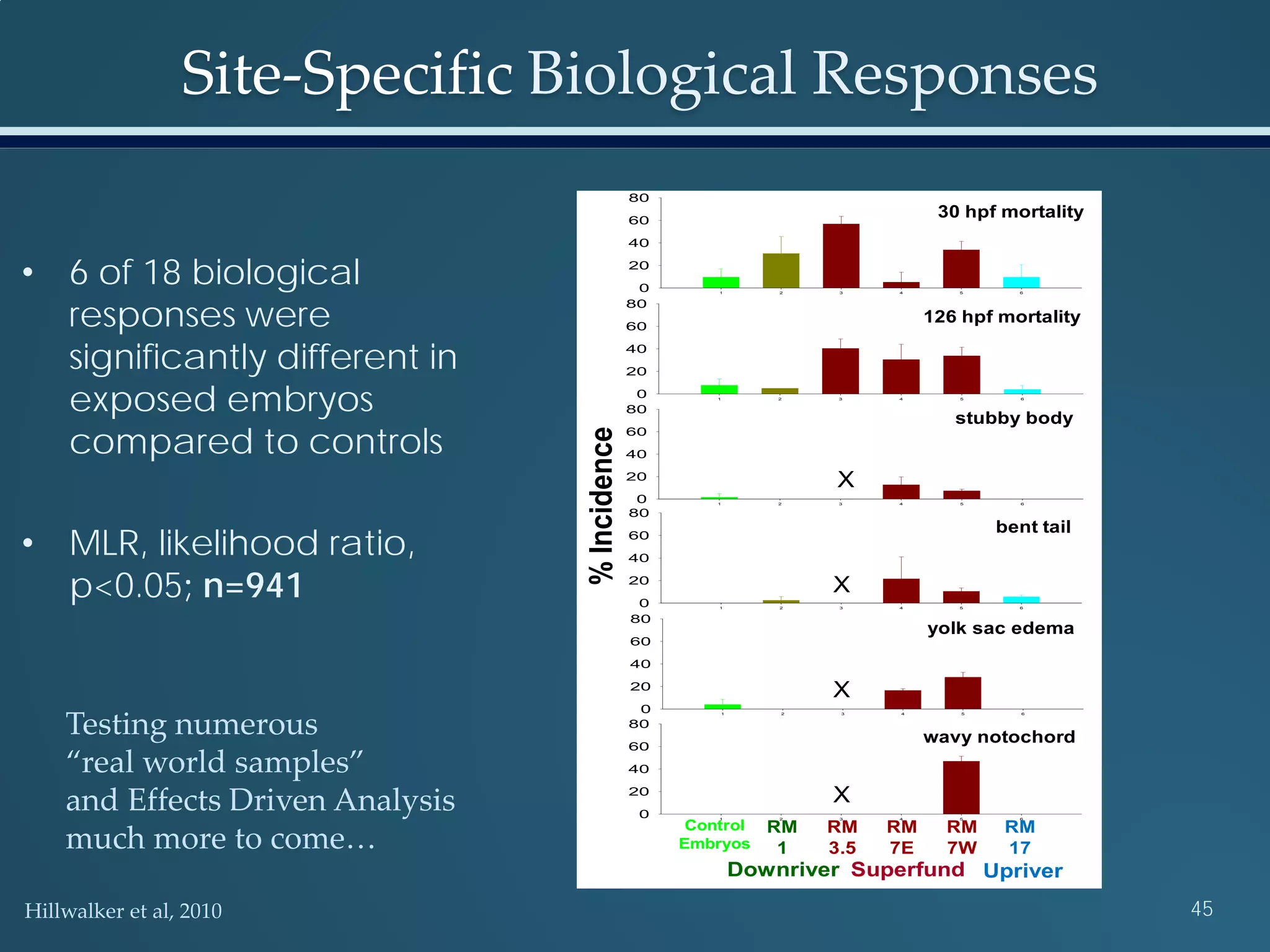 Site-Specific Biological Responses
45
• 6 of 18 biological
responses were
significantly different in
exposed embryos
compared to controls
• MLR, likelihood ratio,
p<0.05; n=941
M30
1 2 3 4 5 6
0
20
40
60
80
M126
1 2 3 4 5 6
0
20
40
60
80
126 hpf mortality
Stubby
1 2 3 4 5 6
0
20
40
60
80
stubby body
Tail
1 2 3 4 5 6
0
20
40
60
80
bent tail
YSE
1 2 3 4 5 6
0
20
40
60
80
yolk sac edema
Notochord 126 hpf
1 2 3 4 5 6
0
20
40
60
80
wavy notochord
%Incidence
Control
Embryos
RM
1
RM
3.5
RM
7E
RM
7W
RM
17
Downriver Superfund Upriver
30 hpf mortality
X
X
X
X
Hillwalker et al, 2010
Testing numerous
“real world samples”
and Effects Driven Analysis
much more to come…
 