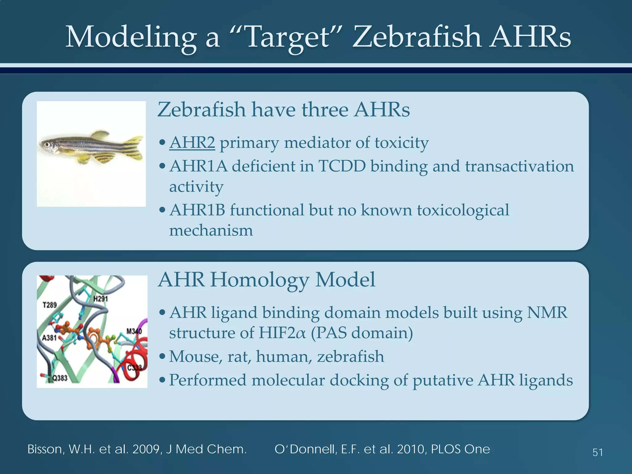 Modeling a “Target” Zebrafish AHRs
51Bisson, W.H. et al. 2009, J Med Chem. O’Donnell, E.F. et al. 2010, PLOS One
Zebrafish have three AHRs
•AHR2 primary mediator of toxicity
•AHR1A deficient in TCDD binding and transactivation
activity
•AHR1B functional but no known toxicological
mechanism
AHR Homology Model
•AHR ligand binding domain models built using NMR
structure of HIF2α (PAS domain)
•Mouse, rat, human, zebrafish
•Performed molecular docking of putative AHR ligands
 