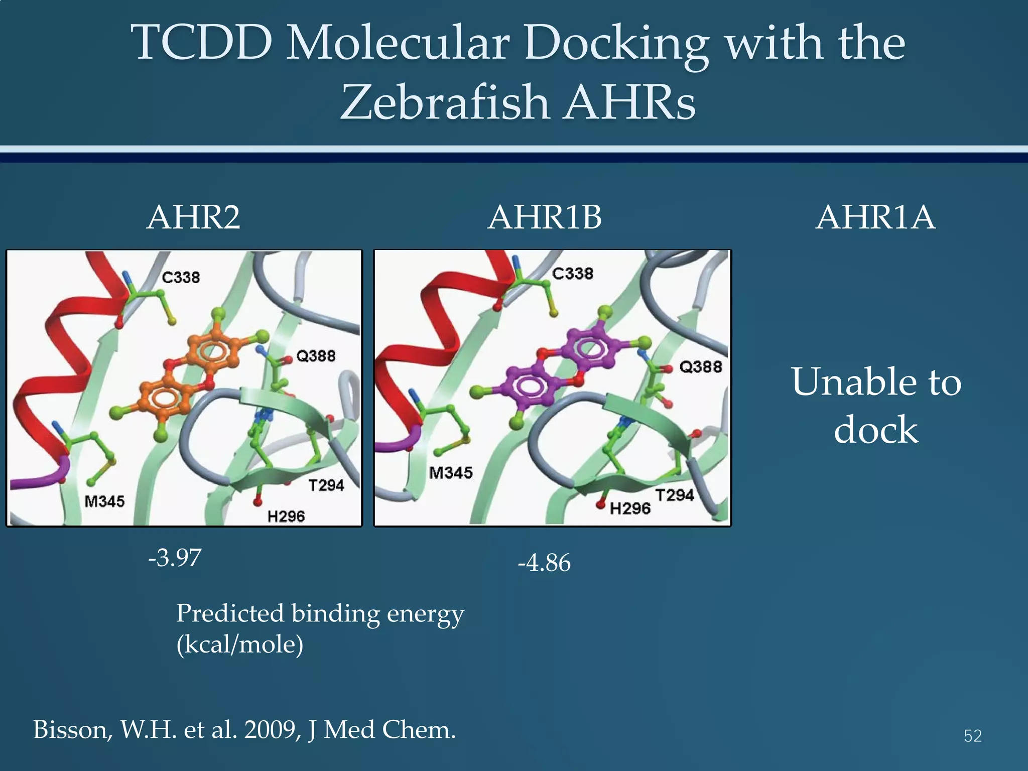 TCDD Molecular Docking with the
Zebrafish AHRs
52
AHR2 AHR1B AHR1A
Unable to
dock
-3.97 -4.86
Predicted binding energy
(kcal/mole)
Bisson, W.H. et al. 2009, J Med Chem.
 