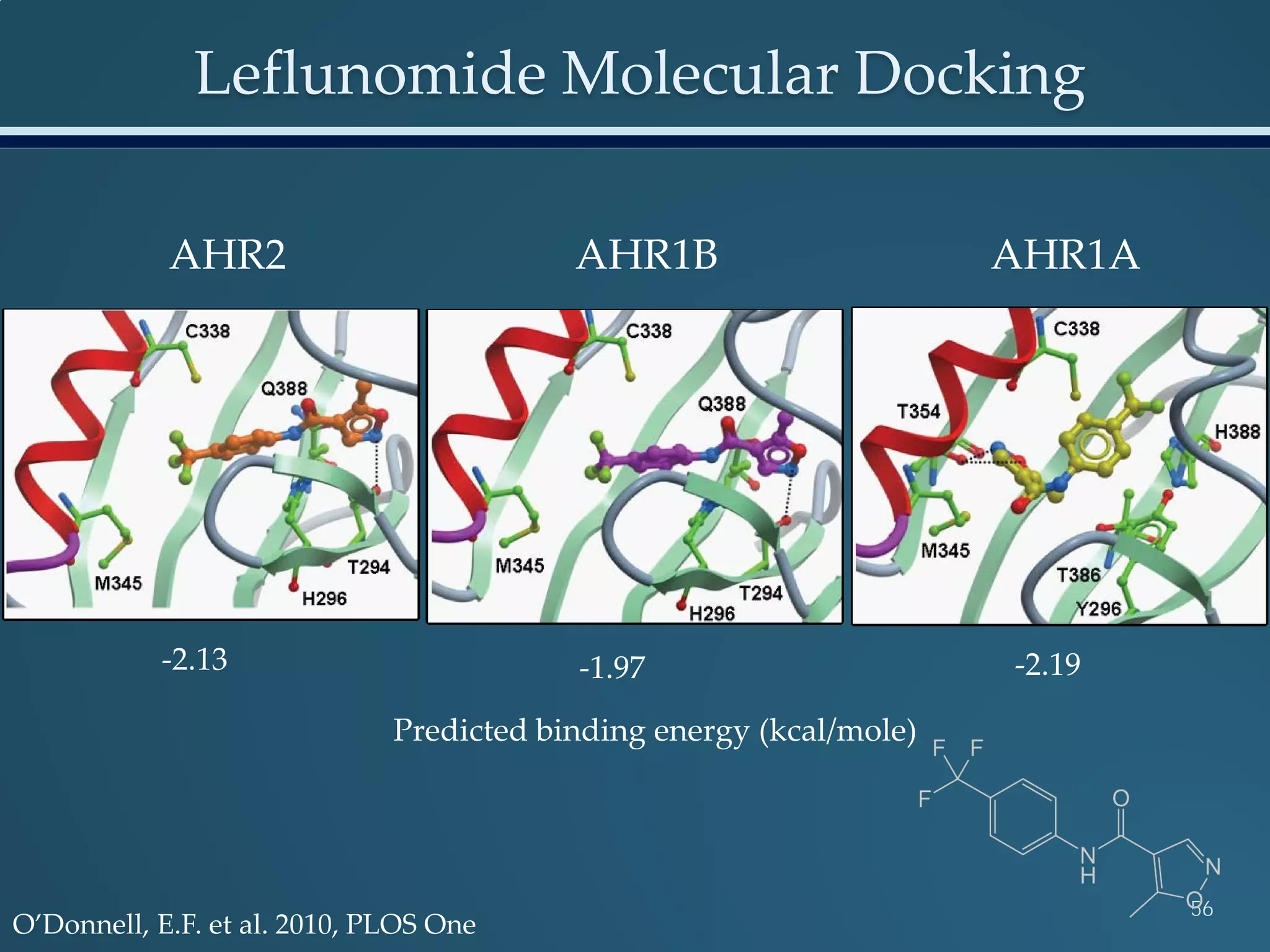 Leflunomide Molecular Docking
56
AHR2 AHR1B AHR1A
-2.13 -1.97 -2.19
Predicted binding energy (kcal/mole)
O’Donnell, E.F. et al. 2010, PLOS One
 