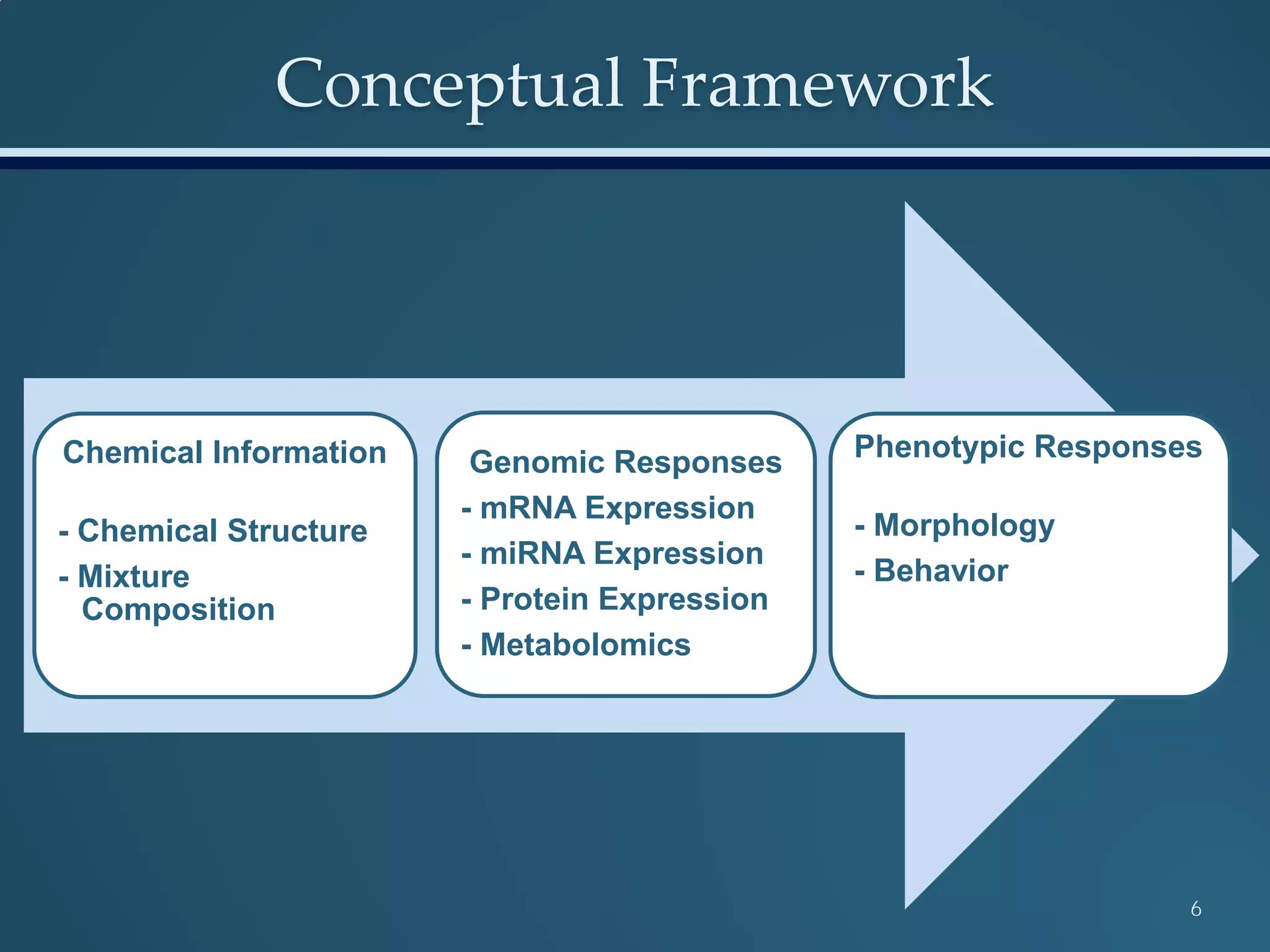 Conceptual Framework
Chemical Information
- Chemical Structure
- Mixture
Composition
Genomic Responses
- mRNA Expression
- miRNA Expression
- Protein Expression
- Metabolomics
Phenotypic Responses
- Morphology
- Behavior
6
 