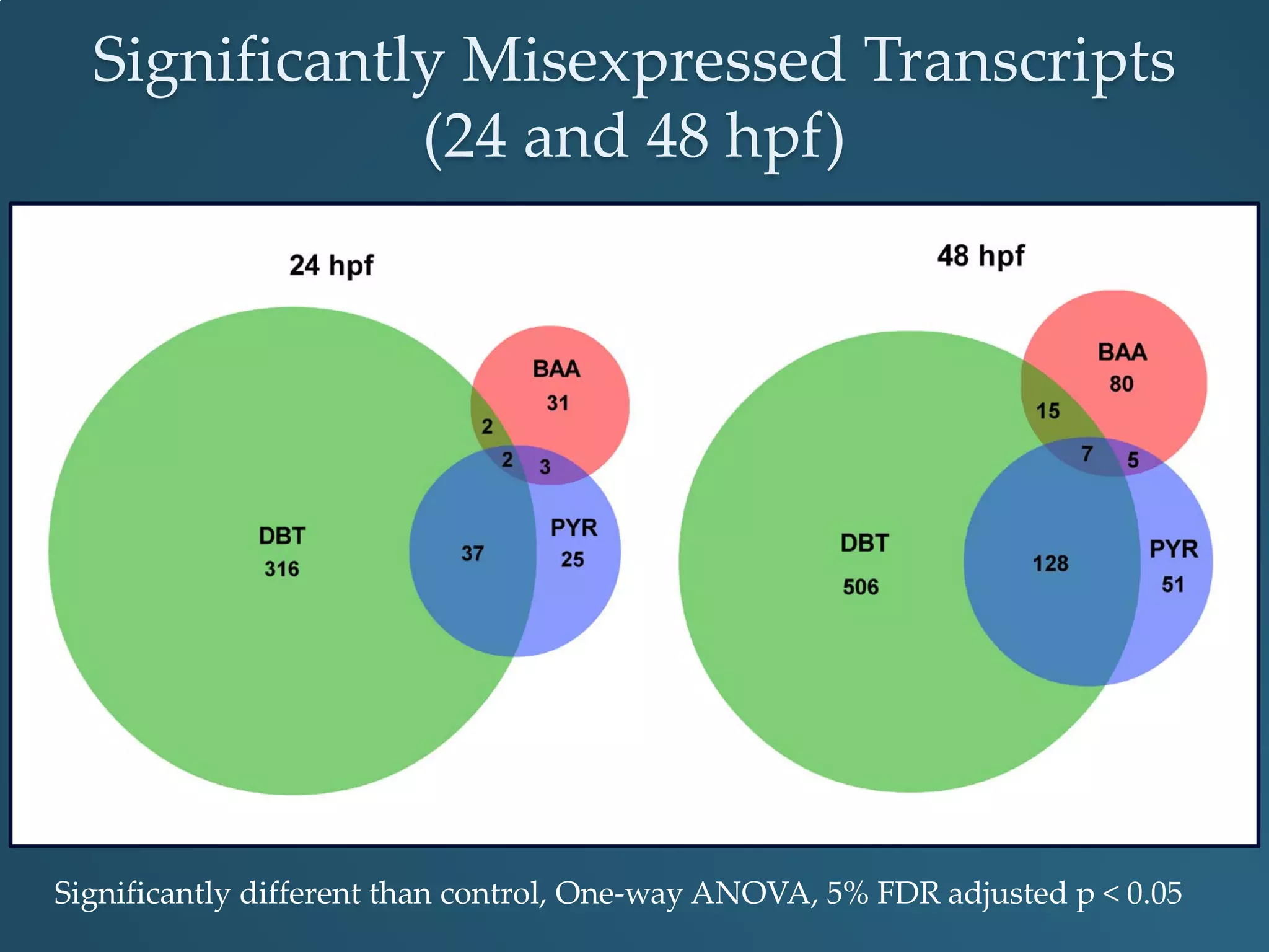 Significantly different than control, One-way ANOVA, 5% FDR adjusted p < 0.05
Significantly Misexpressed Transcripts
(24 and 48 hpf)
 