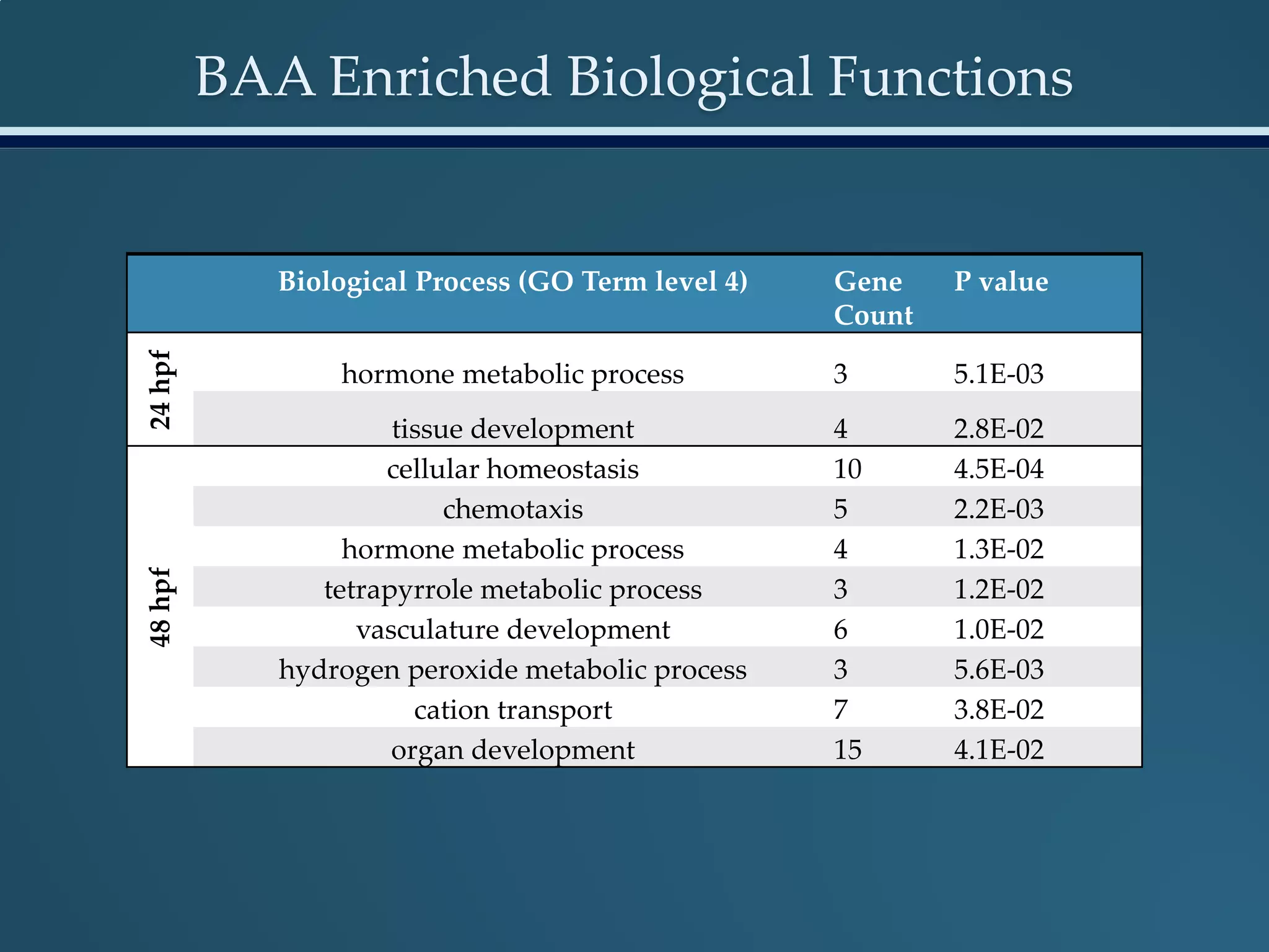 BAA Enriched Biological Functions
Biological Process (GO Term level 4) Gene
Count
P value
24hpf
hormone metabolic process 3 5.1E-03
tissue development 4 2.8E-02
48hpf
cellular homeostasis 10 4.5E-04
chemotaxis 5 2.2E-03
hormone metabolic process 4 1.3E-02
tetrapyrrole metabolic process 3 1.2E-02
vasculature development 6 1.0E-02
hydrogen peroxide metabolic process 3 5.6E-03
cation transport 7 3.8E-02
organ development 15 4.1E-02
 