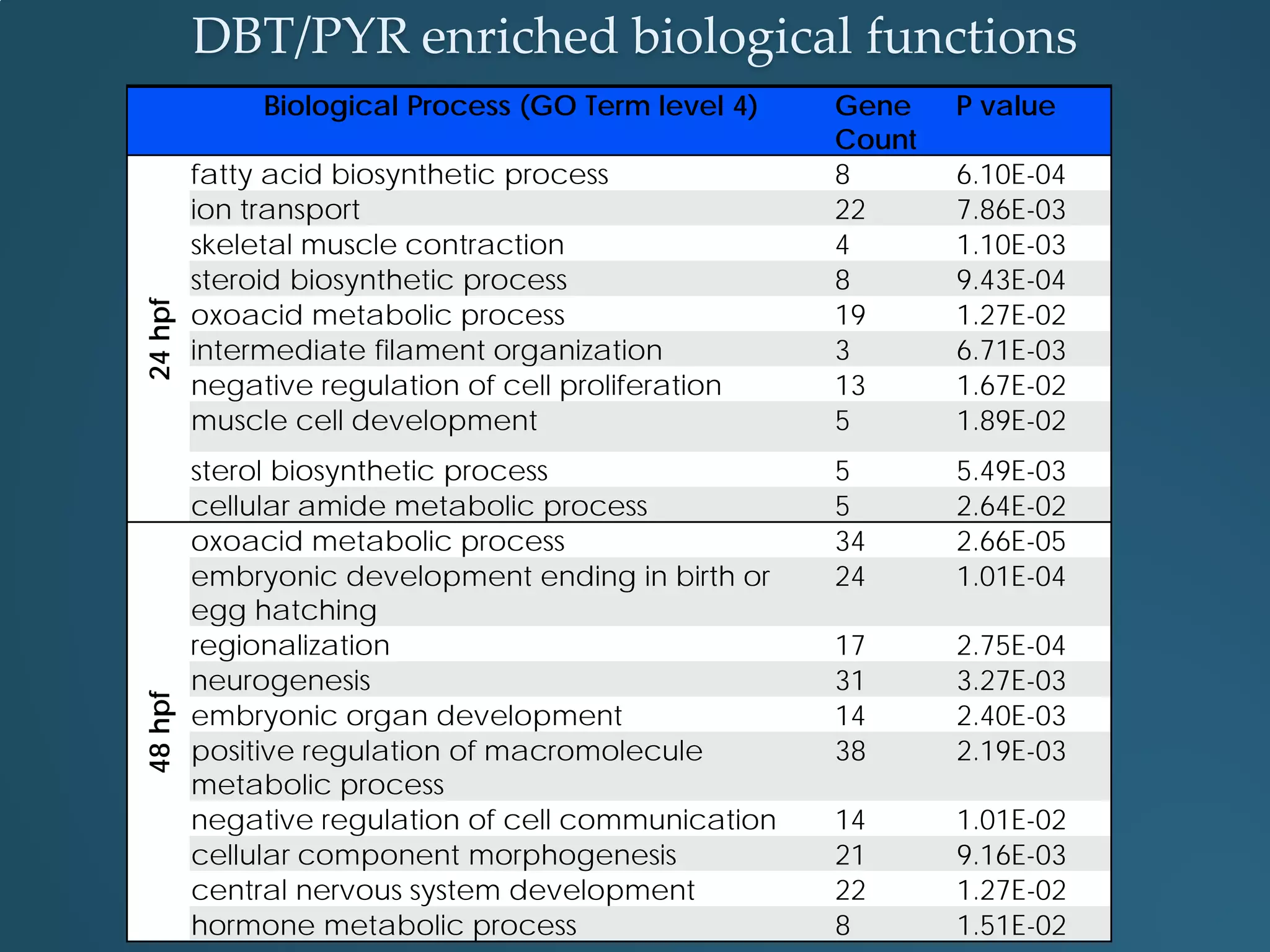 DBT/PYR enriched biological functions
Biological Process (GO Term level 4) Gene
Count
P value
24hpf
fatty acid biosynthetic process 8 6.10E-04
ion transport 22 7.86E-03
skeletal muscle contraction 4 1.10E-03
steroid biosynthetic process 8 9.43E-04
oxoacid metabolic process 19 1.27E-02
intermediate filament organization 3 6.71E-03
negative regulation of cell proliferation 13 1.67E-02
muscle cell development 5 1.89E-02
sterol biosynthetic process 5 5.49E-03
cellular amide metabolic process 5 2.64E-02
48hpf
oxoacid metabolic process 34 2.66E-05
embryonic development ending in birth or
egg hatching
24 1.01E-04
regionalization 17 2.75E-04
neurogenesis 31 3.27E-03
embryonic organ development 14 2.40E-03
positive regulation of macromolecule
metabolic process
38 2.19E-03
negative regulation of cell communication 14 1.01E-02
cellular component morphogenesis 21 9.16E-03
central nervous system development 22 1.27E-02
hormone metabolic process 8 1.51E-02
 