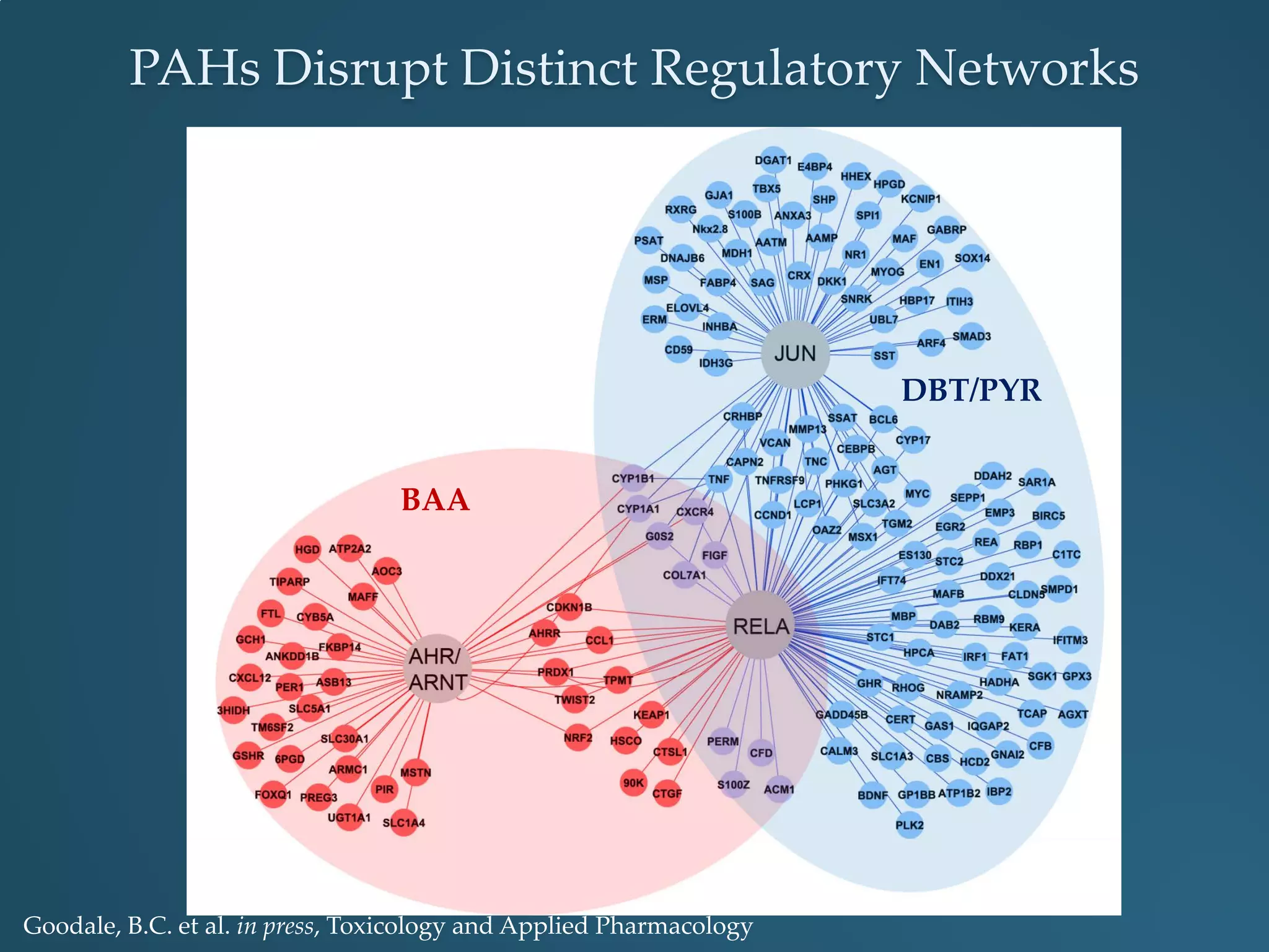 PAHs Disrupt Distinct Regulatory Networks
DBT/PYR
BAA
Goodale, B.C. et al. in press, Toxicology and Applied Pharmacology
 