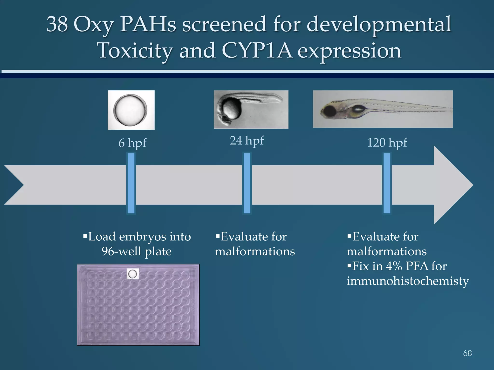 Load embryos into
96-well plate
6 hpf 24 hpf 120 hpf
Evaluate for
malformations
Evaluate for
malformations
Fix in 4% PFA for
immunohistochemisty
38 Oxy PAHs screened for developmental
Toxicity and CYP1A expression
68
 