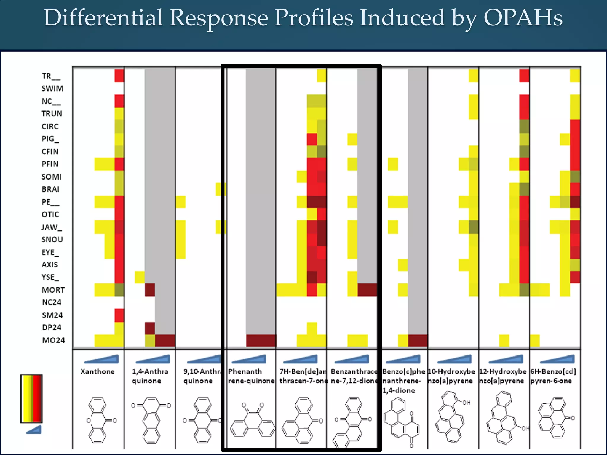 Differential Response Profiles Induced by OPAHs
 
