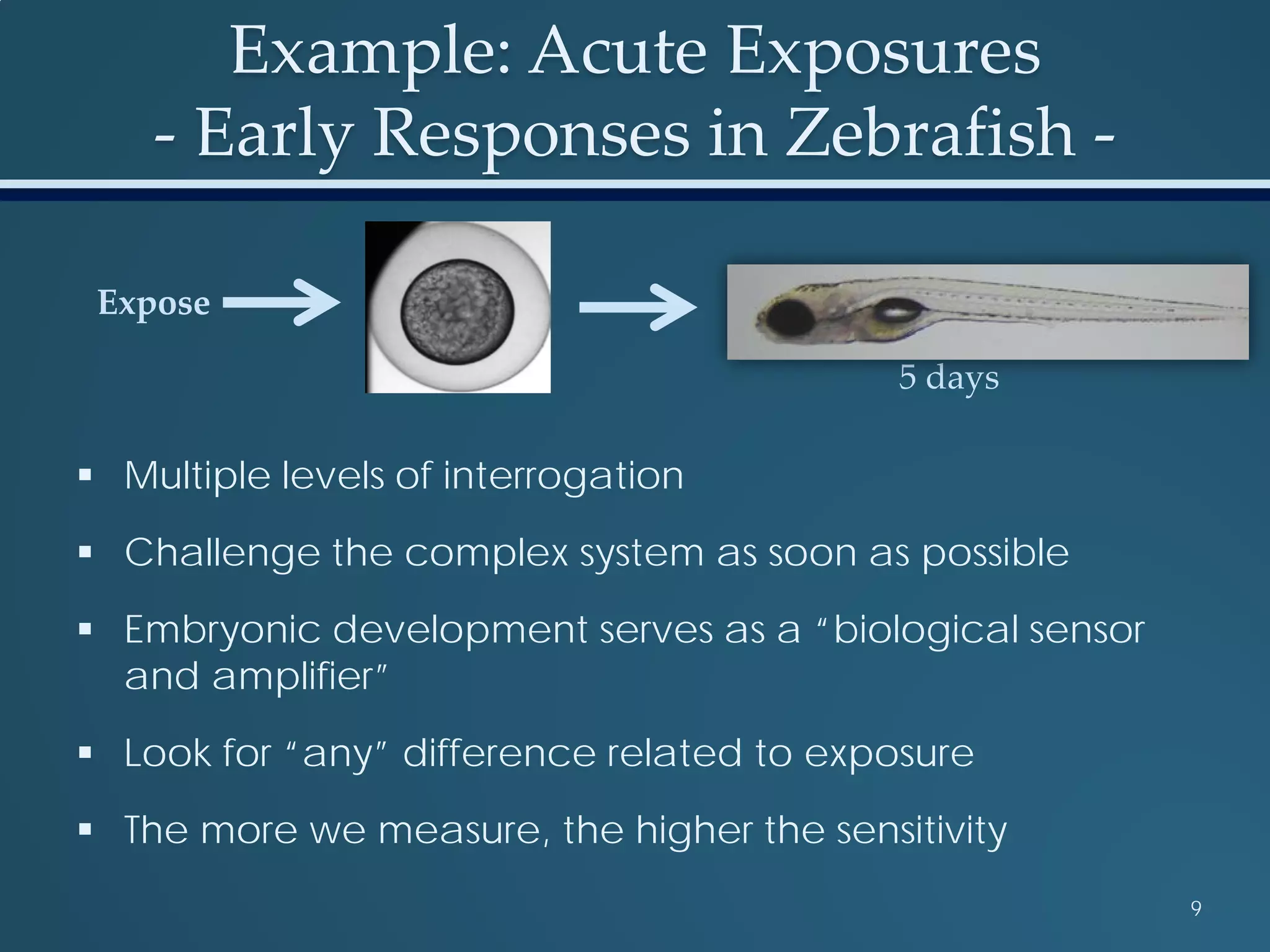 Example: Acute Exposures
- Early Responses in Zebrafish -
 Multiple levels of interrogation
 Challenge the complex system as soon as possible
 Embryonic development serves as a “biological sensor
and amplifier”
 Look for “any” difference related to exposure
 The more we measure, the higher the sensitivity
9
Expose
5 days
 