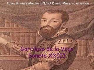 Tania Briones Martin 3°ESO Divino Maestro Granada




        Garcilaso de la Vega
          Soneto XXIII
 