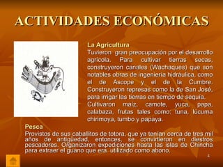 ACTIVIDADES ECONÓMICAS Pesca Provistos de sus caballitos de totora, que ya tenían cerca de tres mil años de antigüedad, entonces, se convirtieron en diestros pescadores. Organizaron expediciones hasta las islas de Chincha para extraer el guano que era  utilizado como abono. La Agricultura Tuvieron  gran preocupación por el desarrollo agrícola. Para cultivar tierras secas, construyeron canales (Wachaques) que son notables obras de ingeniería hidráulica, como el de Ascope y el de la Cumbre. Construyeron represas como la de San José, para irrigar las tierras en tiempo de sequía. Cultivaron maíz, camote, yuca, papa, calabaza, frutas tales como: tuna, lúcuma   chirimoya, tumbo y papaya. 
