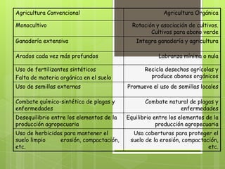 Agricultura Convencional                                Agricultura Orgánica

Monocultivo                                 Rotación y asociación de cultivos.
                                                   Cultivos para abono verde
Ganadería extensiva                          Integra ganadería y agricultura

Arados cada vez más profundos                         Labranza mínima o nula

Uso de fertilizantes sintéticos                  Recicla desechos agrícolas y
Falta de materia orgánica en el suelo              produce abonos orgánicos
Uso de semillas externas                  Promueve el uso de semillas locales

Combate químico-sintético de plagas y            Combate natural de plagas y
enfermedades                                                 enfermedades
Desequilibrio entre los elementos de la   Equilibrio entre los elementos de la
producción agropecuaria                               producción agropecuaria
Uso de herbicidas para mantener el          Usa coberturas para proteger el
suelo limpio    erosión, compactación,     suelo de la erosión, compactación,
etc.                                                                     etc.
 