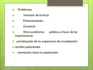      Problemas:
         Tenencia de la finca
         Financiamiento
         Comercio
        Otros problemas         políticas a favor de las
    importaciones
    privatización de los organismos de investigación
 semillas patentadas

    orientación hacia la explotación
 