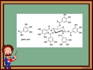 Tanin | PPT