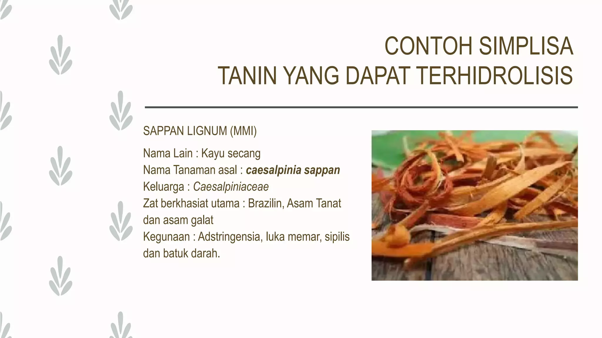 TANIN.pptx