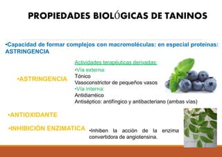 PROPIEDADES BIOLÓGICAS DE TANINOS
•Capacidad de formar complejos con macromoléculas: en especial proteínas:
ASTRINGENCIA
Actividades terapéuticas derivadas:
•Vía externa:
Tónico
Vasoconstrictor de pequeños vasos
•Vía interna:
Antidiarréico
Antiséptico: antifíngico y antibacteriano (ambas vías)
•ASTRINGENCIA
•Inhiben la acción de la enzima
convertidora de angiotensina.
•ANTIOXIDANTE
•INHIBICIÓN ENZIMATICA
 